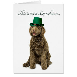 Funny Labradoodle Leprechaun Card