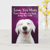 Funny labrador kaart (Gele Bloem)