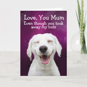 Funny labrador kaart