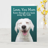 Funny labrador kaart (Gele Bloem)