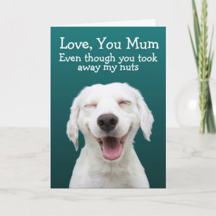 Funny labrador kaart