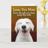 Funny labrador kaart (Gele Bloem)