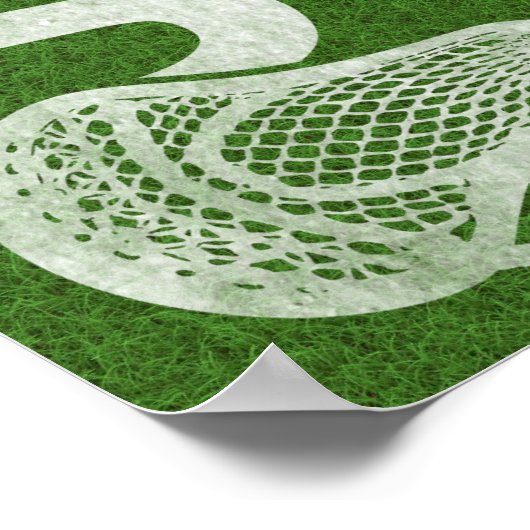 Funny Lacrosse Print Art Work (Hoek)