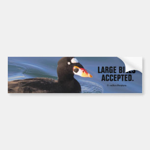 Funny Large Bills Accepted Surf Scoter Duck Bumpersticker