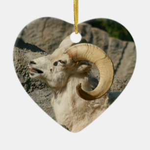 Funny Laughing Bighorn Sheep Keramisch Ornament