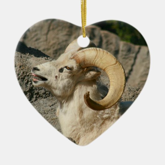 Funny Laughing Bighorn Sheep Keramisch Ornament (Voorkant)