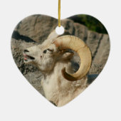 Funny Laughing Bighorn Sheep Keramisch Ornament (Achterkant)