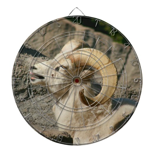 Funny Laughing Bighorn Sheep of Ram Dartbord (Voorkant)