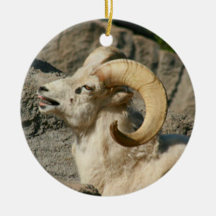 Funny Laughing Bighorn Sheep of Ram Keramisch Ornament
