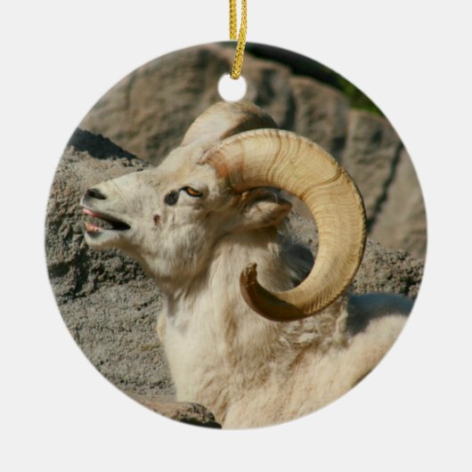 Funny Laughing Bighorn Sheep of Ram Keramisch Ornament (Voorkant)