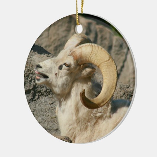 Funny Laughing Bighorn Sheep of Ram Keramisch Ornament (Links)