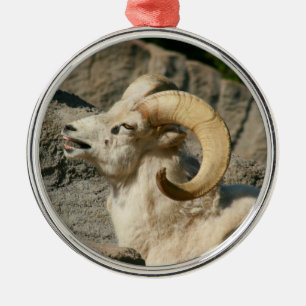 Funny Laughing Bighorn Sheep of Ram Metalen Ornament