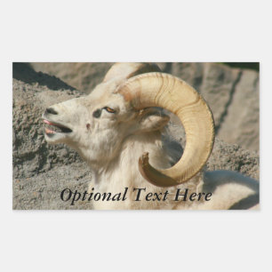 Funny Laughing Bighorn Sheep of Ram Rechthoekige Sticker