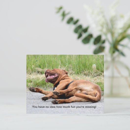 Funny Laughing Dog Briefkaart (Staand voorkant)