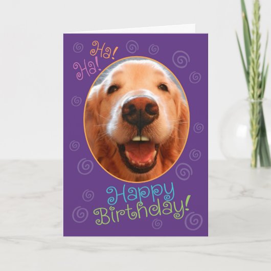 Funny Laughing Golden Retriever Birthday Kaart (Voorkant)