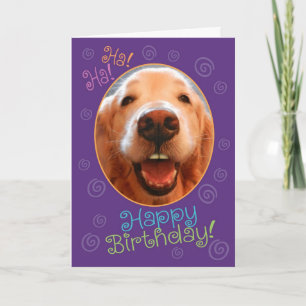 Funny Laughing Golden Retriever Birthday Kaart