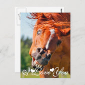 Funny Laughing Horse I Love You Briefkaart (Voorkant / Achterkant)