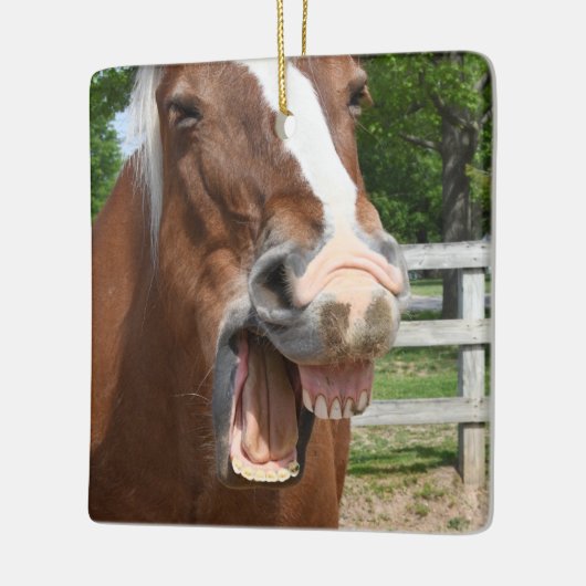 Funny Laughing Horse Keramisch Ornament (Links)