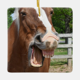 Funny Laughing Horse Keramisch Ornament