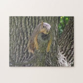 Funny Lazy Squirrel Laying on Tree Branch Legpuzzel (Horizontaal)