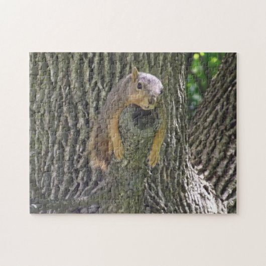 Funny Lazy Squirrel Laying on Tree Branch Legpuzzel (Horizontaal)