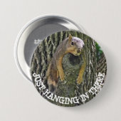 Funny Lazy Squirrel Napping in Tree Button (Voorkant /achterkant)