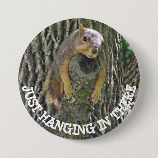 Funny Lazy Squirrel Napping in Tree Button (Voorkant)