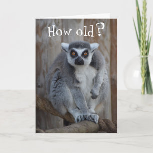 Funny Lemur Kaart