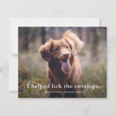 Funny Lick de Envelop Pet Christmas Kaart (Voorkant)
