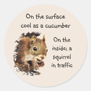 Funny Life Quote Surface Cool Inside Squirrel Ronde Sticker
