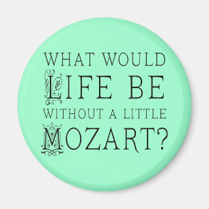 Funny Life Zonder Mozart Music Gift T-shirt Magneet