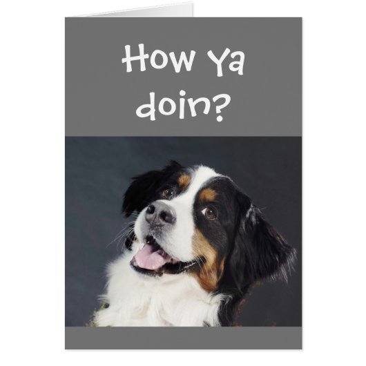 Funny Lighthearted Thinking of You Cute Dog (Voorkant)