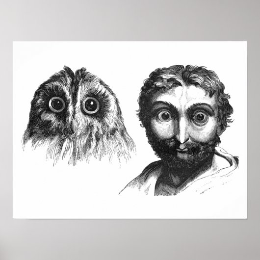 Funny Likiness between Man and Owl Cartoon Poster (Voorkant)