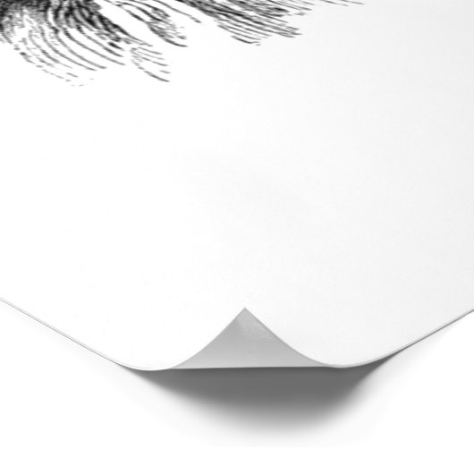 Funny Likiness between Man and Owl  Cartoon Poster (Hoek)