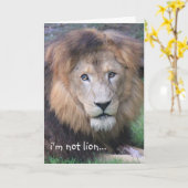Funny Lion Birthday Card Kaart (Gele Bloem)