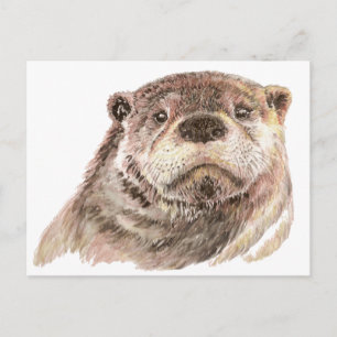 Funny Little Otter, Cute Animal Natuur Briefkaart