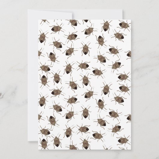 Funny Little Stinker Brown Stink Bug Birthday Kaart (Achterkant)