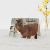 Funny Llama Birthday Kaart (Gele Bloem)