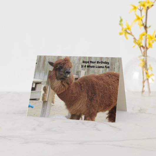 Funny Llama Birthday Kaart (Gele Bloem)