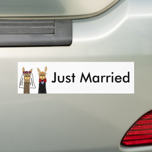 Funny Llama Bride en Groom Wedding Art Bumpersticker (Op auto)