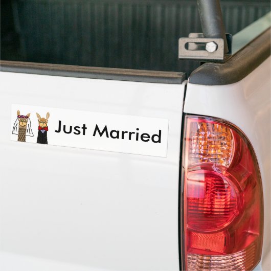 Funny Llama Bride en Groom Wedding Art Bumpersticker (Op Truck)