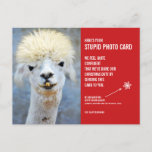 Funny Llama-Briefkaart met een kersttaartje Briefkaart<br><div class="desc">Stuur het geschenk van het lachen dit vakantieseizoen met deze hilarische kerstfoto-briefkaarten! We weten allemaal dat we 'verondersteld' zijn om met kerstmis fotokaarten uit te zenden - het is toch de cultureel aanvaarde praktijk. Nou, deze kaarten zeggen: "Hier is je stomme fotokaart, " en ze bevatten een foto van een...</div>