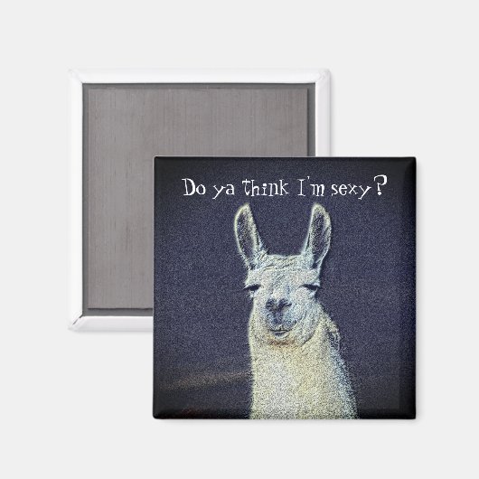 Funny Llama Face Animal Magneet (Voorkant / Achterkant)