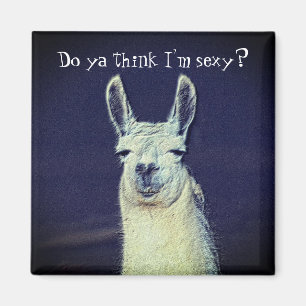 Funny Llama Face Animal Magneet