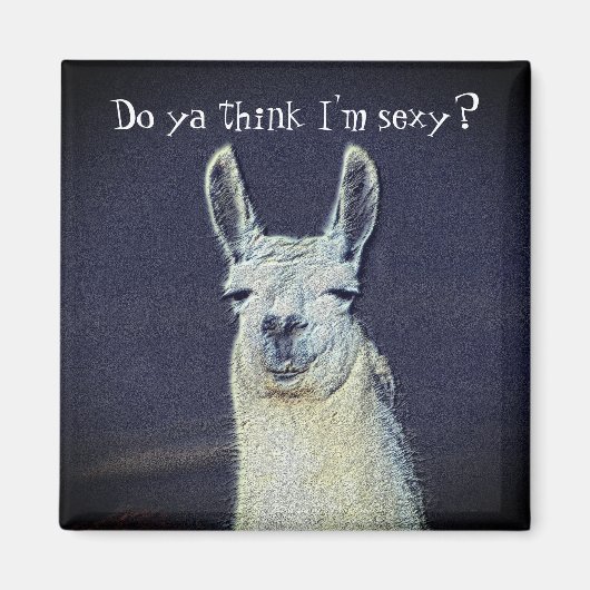 Funny Llama Face Animal Magneet (Voorkant)