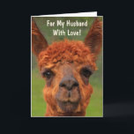 Funny Llama "For My Husband" Birthday Kaart<br><div class="desc">Show je man hoeveel je van hem houdt met deze vermakelijke lamakaart! Pas de boodschap aan en laat zijn dromen uitkomen. Veel bedankt om te zoeken! Foto ©Christine Greenspan</div>