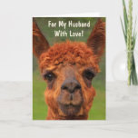 Funny Llama "For My Husband" Birthday Kaart<br><div class="desc">Show je man hoeveel je van hem houdt met deze vermakelijke lamakaart! Pas de boodschap aan en laat zijn dromen uitkomen. Veel bedankt om te zoeken! Foto ©Christine Greenspan</div>