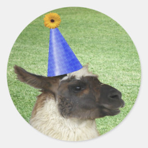 Funny Llama in Pet stickers van Party