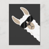 Funny Llama met zonnebrillen met een coole alfaba Briefkaart (Voorkant)