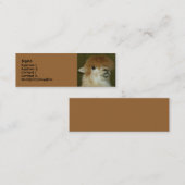 Funny Llama Mini Visitekaartje (Voorkant / Achterkant)